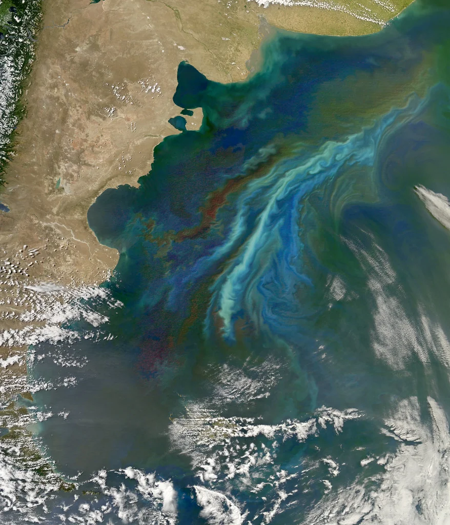 Stirring Up a Bloom off Patagonia