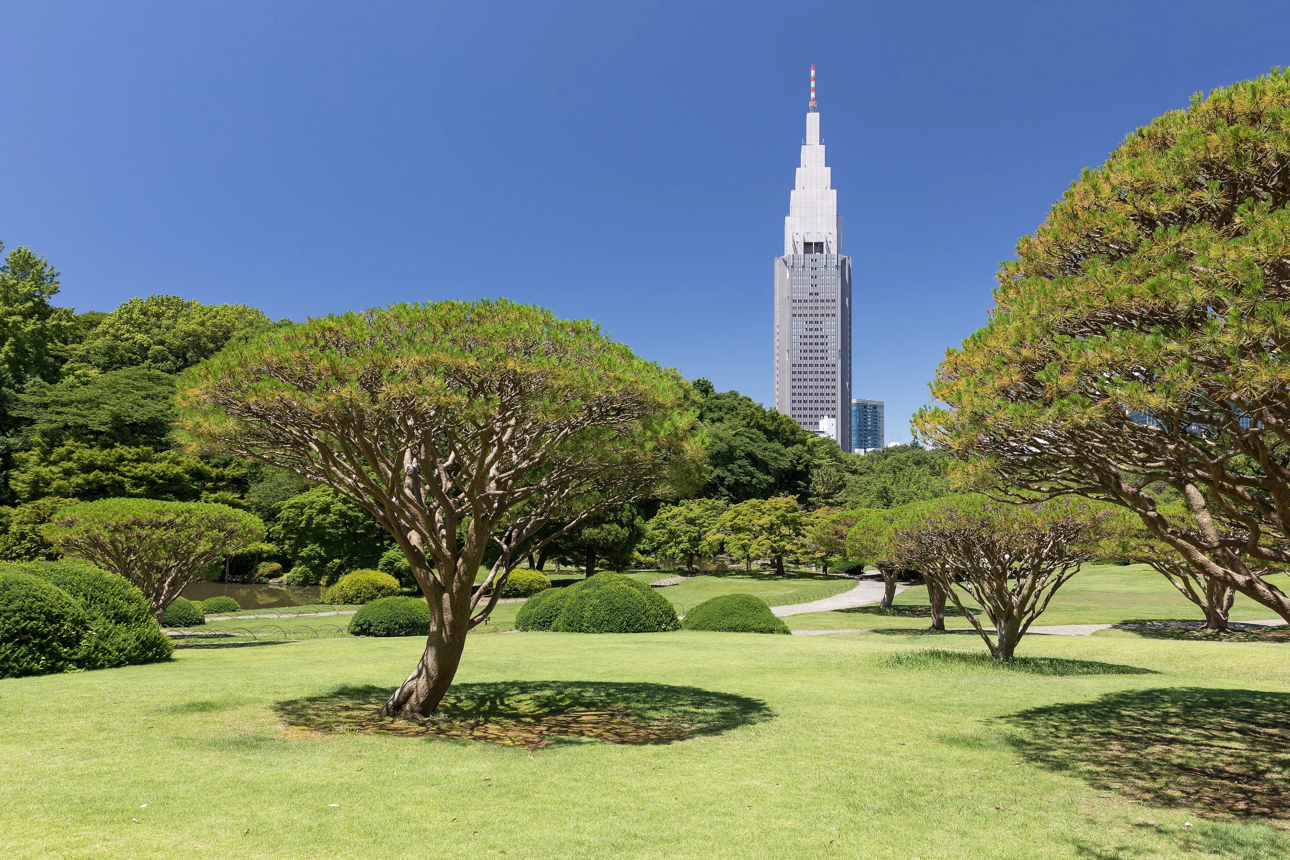 Tokyo Sokakları 2