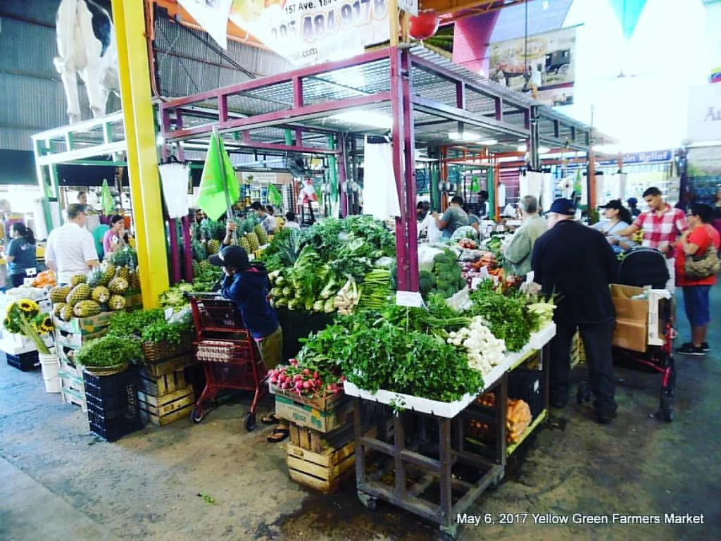 Maria Corona's Farm booth at Yellow Green Farmers Market⠀ #Produce⠀ #Florida⠀ #FreshAndHearty⠀ #Fruit & #Vegetables⠀ #Local