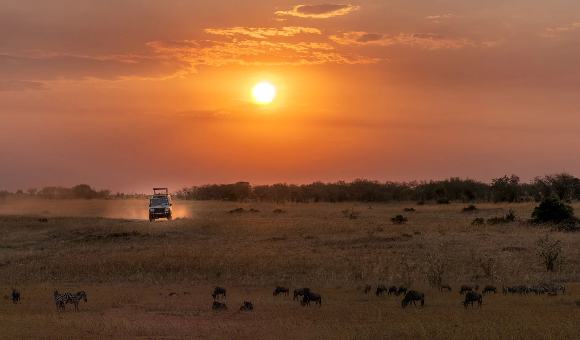 Afrika Safari