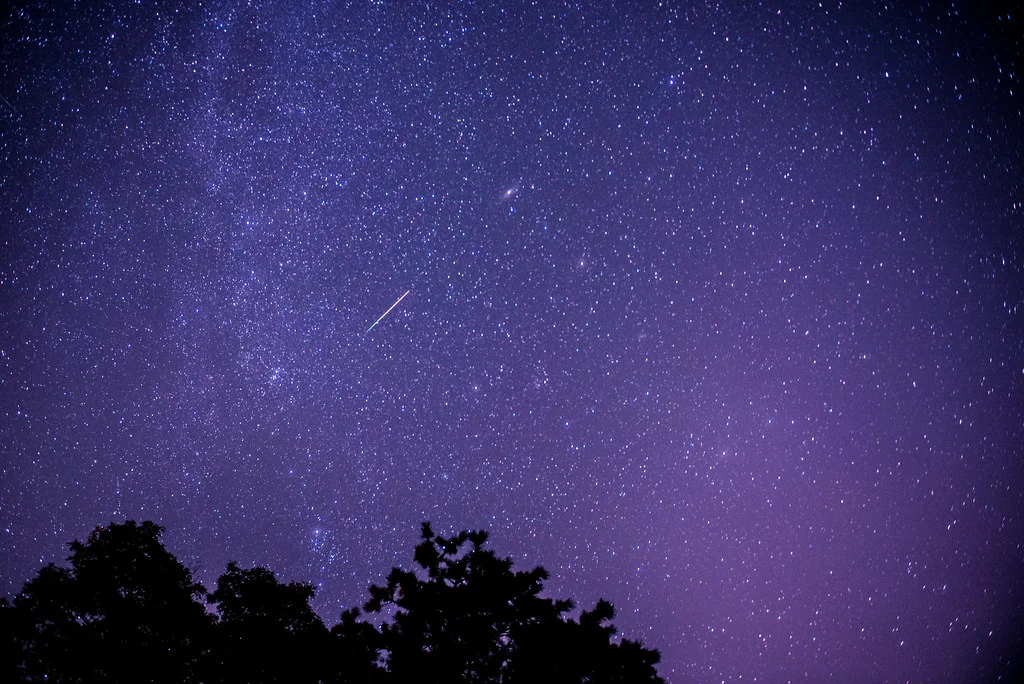 Perseid Meteor Shower