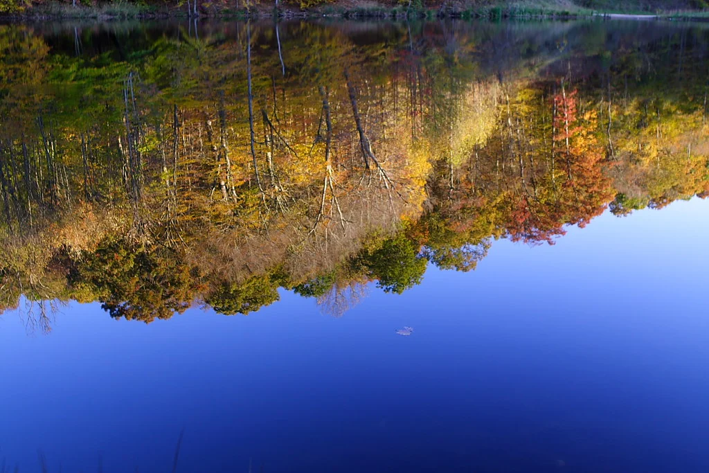 fall lake reflection like a mirror