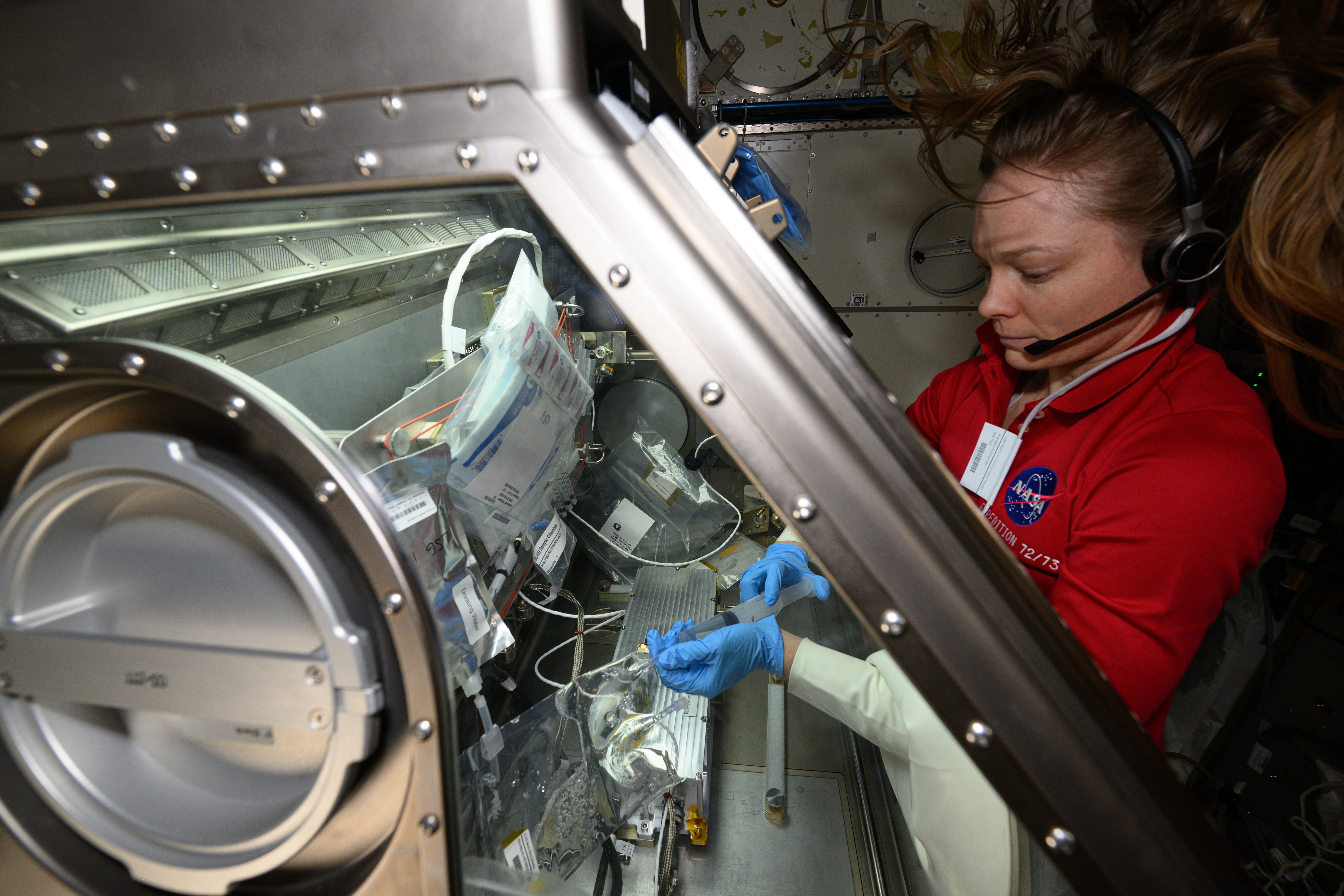 NASA astronaut Nichole Ayers conducts research operations inside the Life Science Glovebox