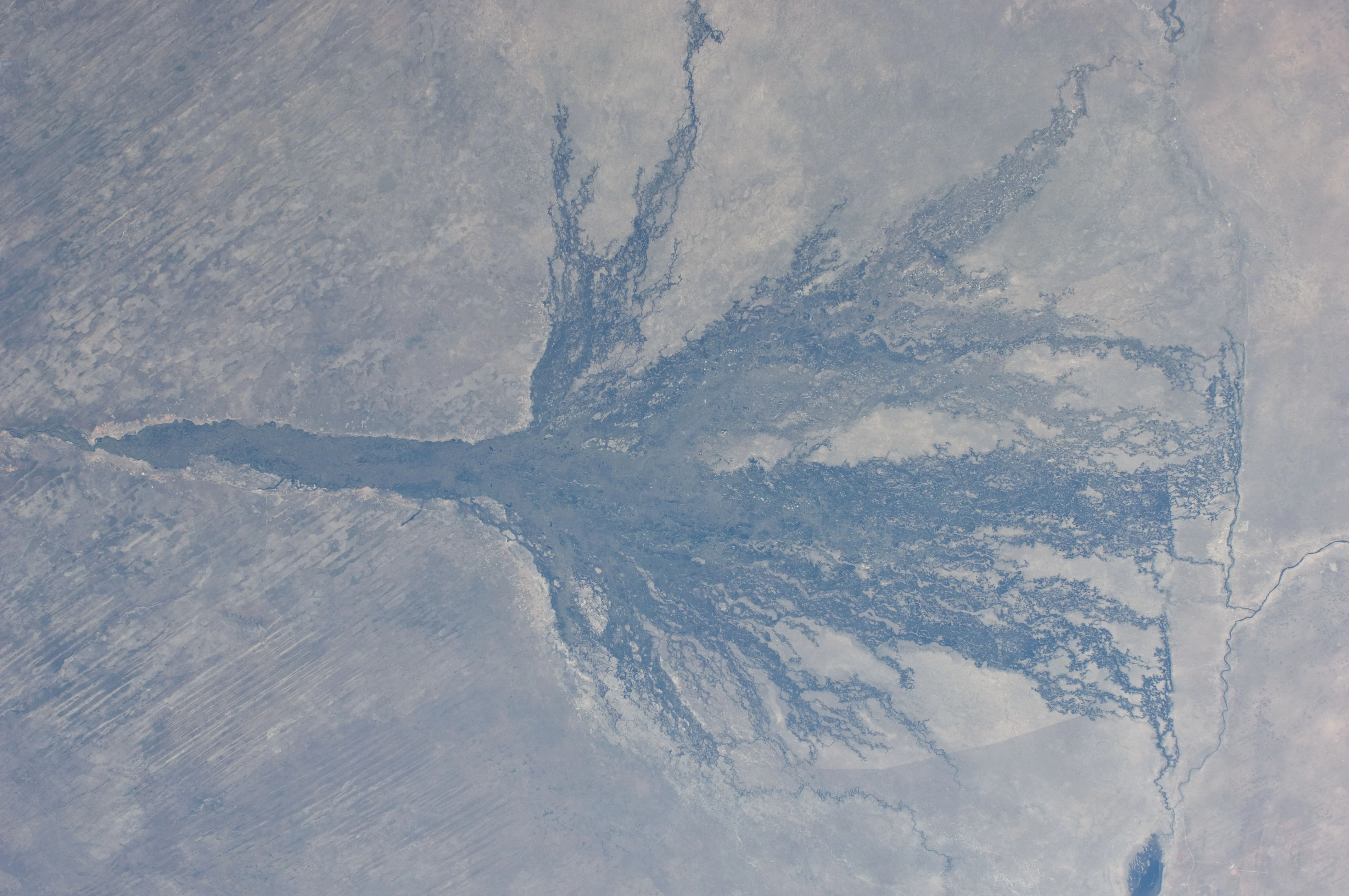 Earth Observations